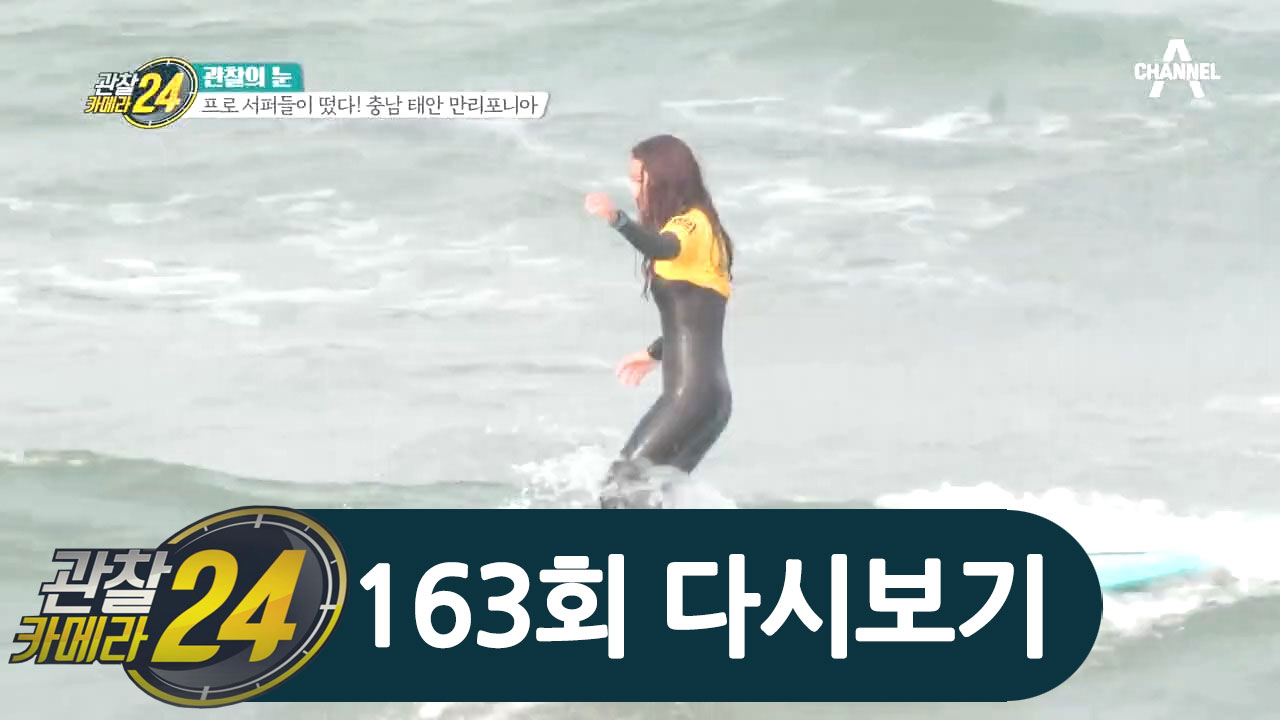 내노라하는 프로 서퍼 총출동, '만리포니아'로 모이는 서퍼들!