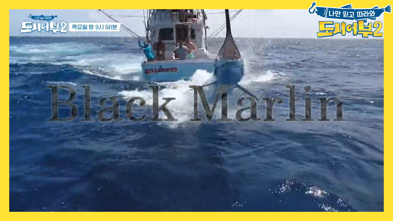 [다음이야기] 레드 엠퍼러와 GT는 잊어라! 끝.판.왕이 온다~