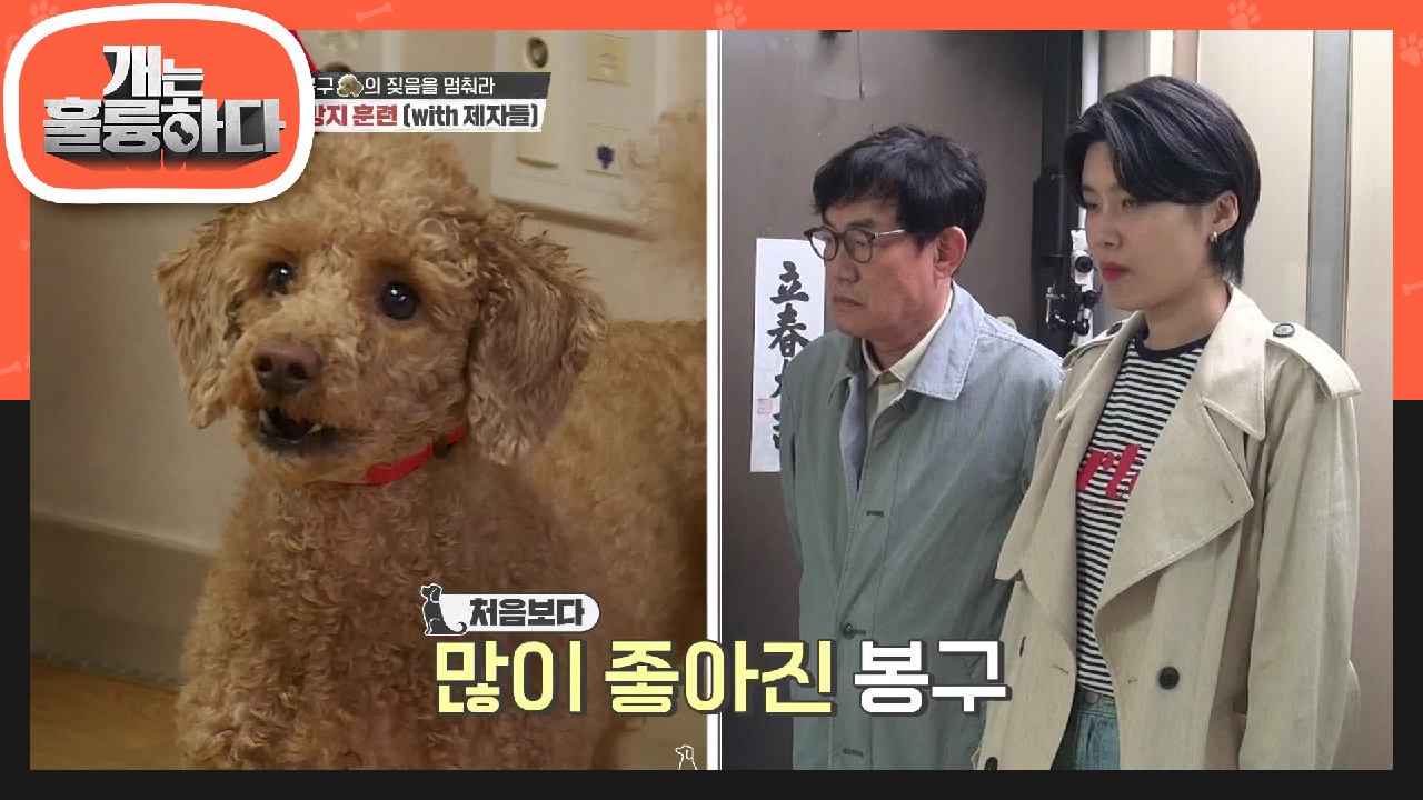 ※짖음을 멈춰라!※ 끊임없이 짖는 봉구! 제자들과 함게하는 짖음 방지 훈련♨ | KBS 210426 방송