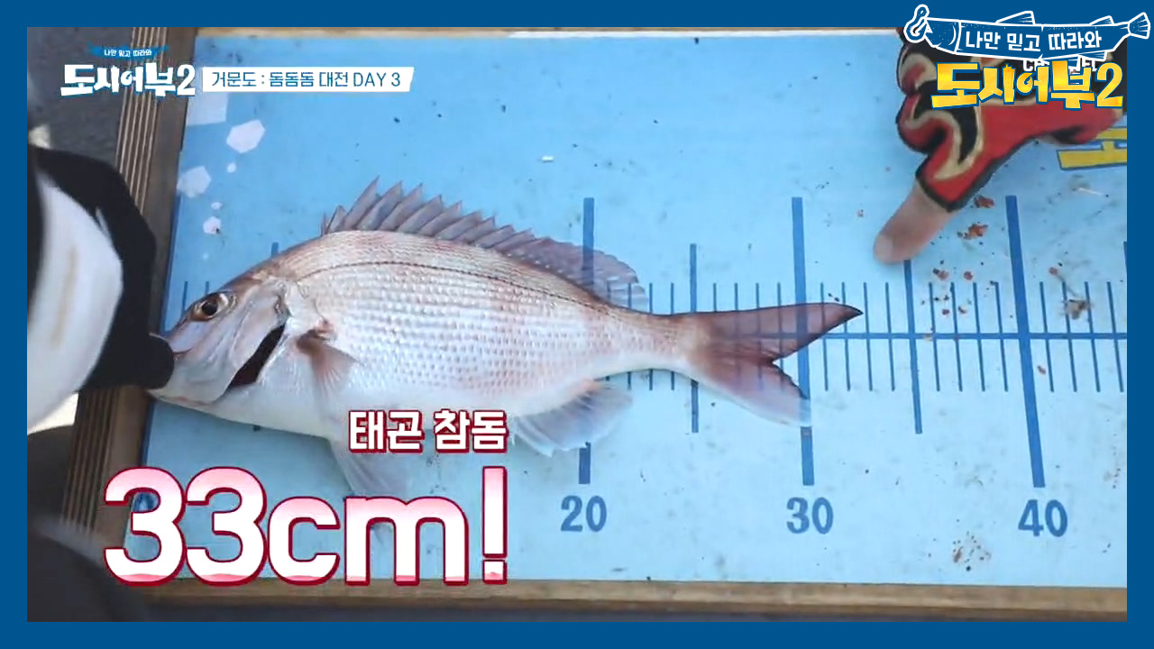 내가 '가호'가 있지~ 3짜 참돔 잡으며 ★이태곤 클라스★ 제대로 보여주는데^^b