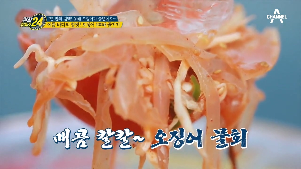 '님아..이 맛 한번 보고 가오~!' 속초에서만 먹을 수 있는 오징어의 참맛!