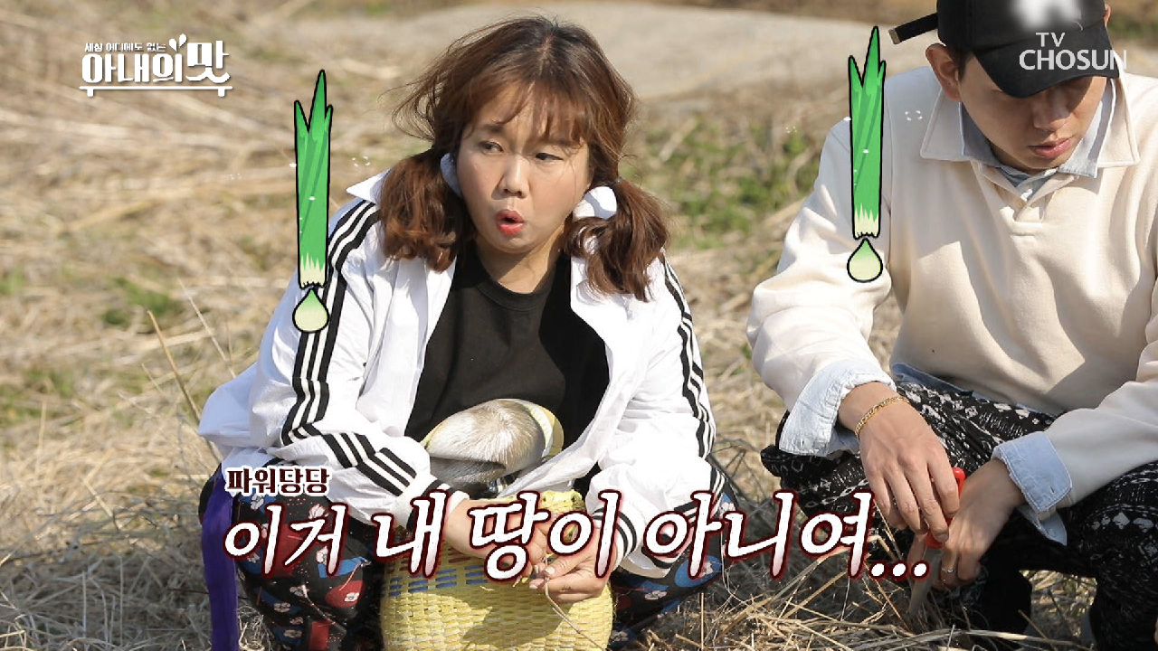 “감방 안보낼게요” 무허가 서리 채취 중??