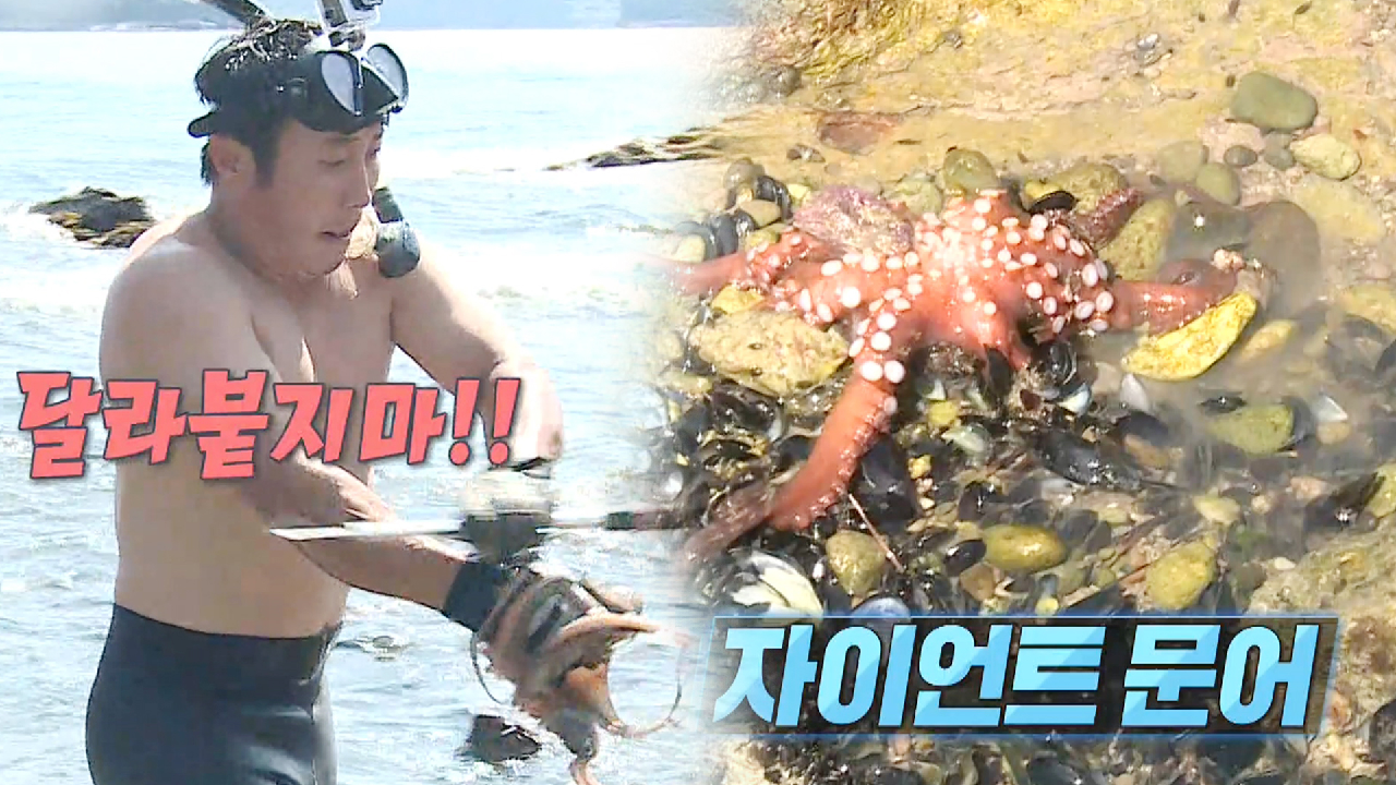 “소름 돋아요” 김병만, 자이언트 문어 빨판 공격에 내동댕이!