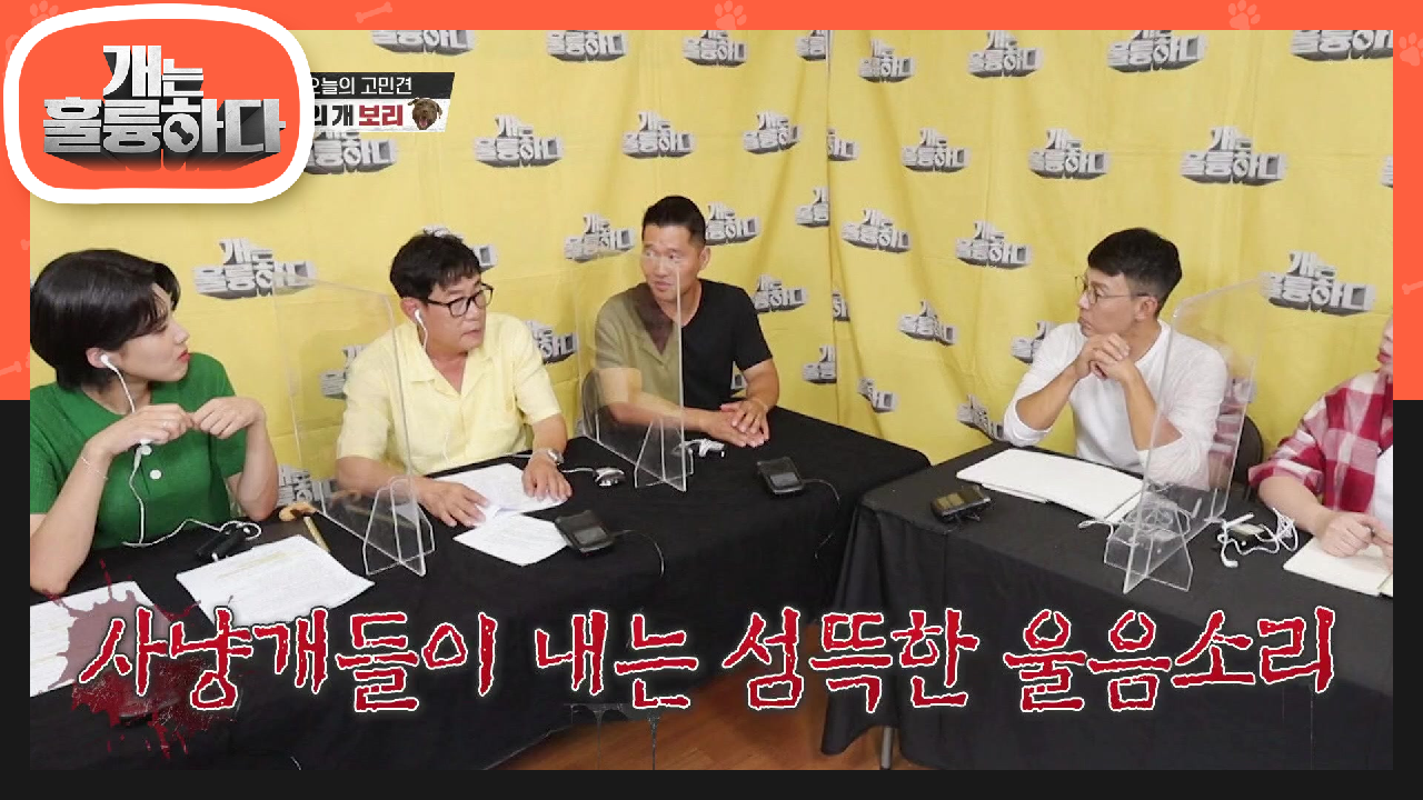 포식자의 소리를 내는 보리?! 보리 만날 생각에 투입 전 전투복 소환하는 규제자! | KBS 210816 방송