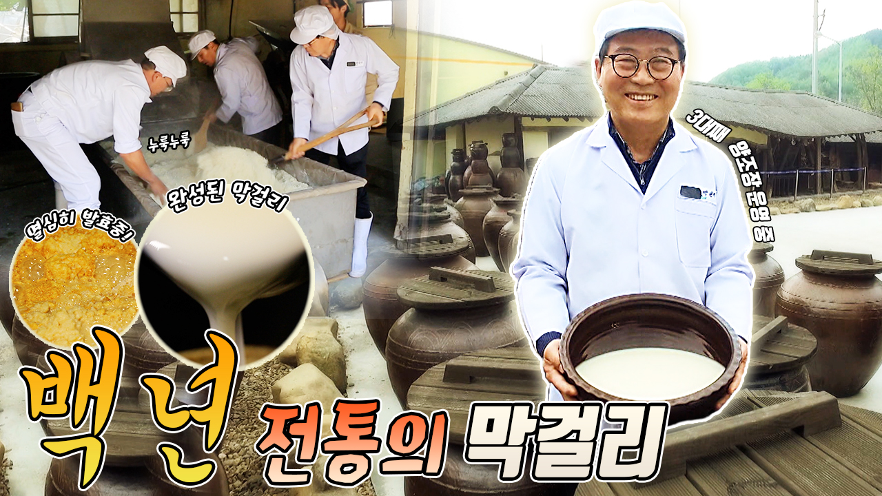 백년 전통의 막걸리 [6시N내고향] / KBS 방송 - kakaoTV 백년 전통의 막걸리 [6시N내고향] / KBS 방송