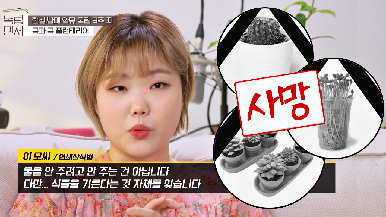 연쇄살식범(?) 수현이 손에만 가면 키우기 쉽다던 식물들도 모조리 사망?? | JTBC 210503 방송
