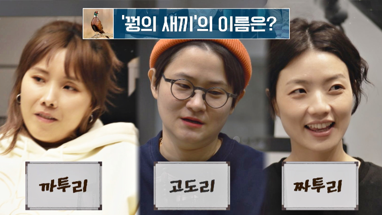 ♨대환장♨ 셀럽파이브의 수준 높은(?) 퀴즈 대결? | JTBC 210517 방송