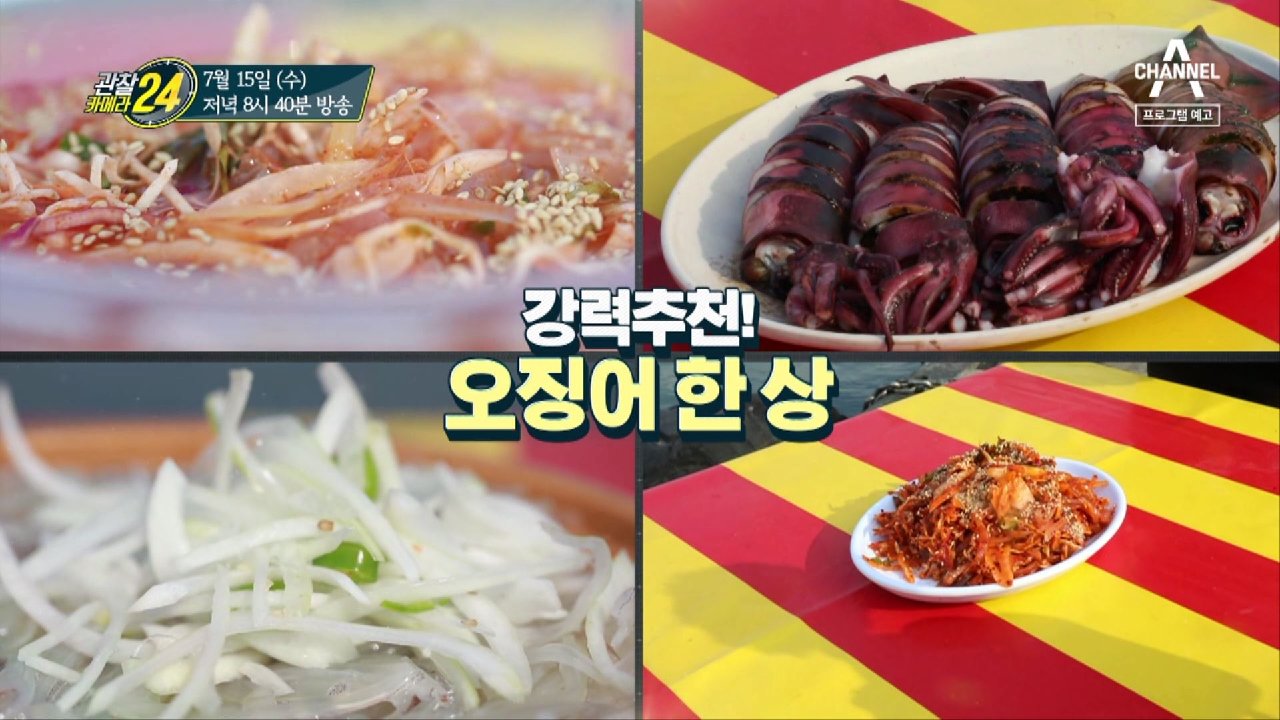 관찰 카메라 24 146회