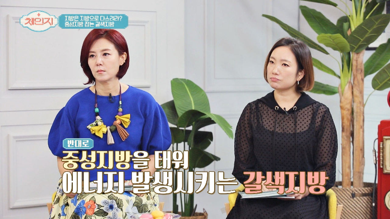 중성지방 잡는 효과적 방법 &#39;갈색지방&#39;을 잡아라!