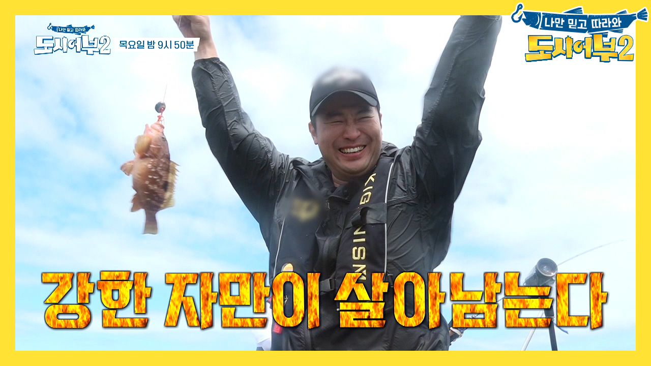 [다음이야기]※경규의 황금 배지 올인※ 팔로미란 이런 것이다!