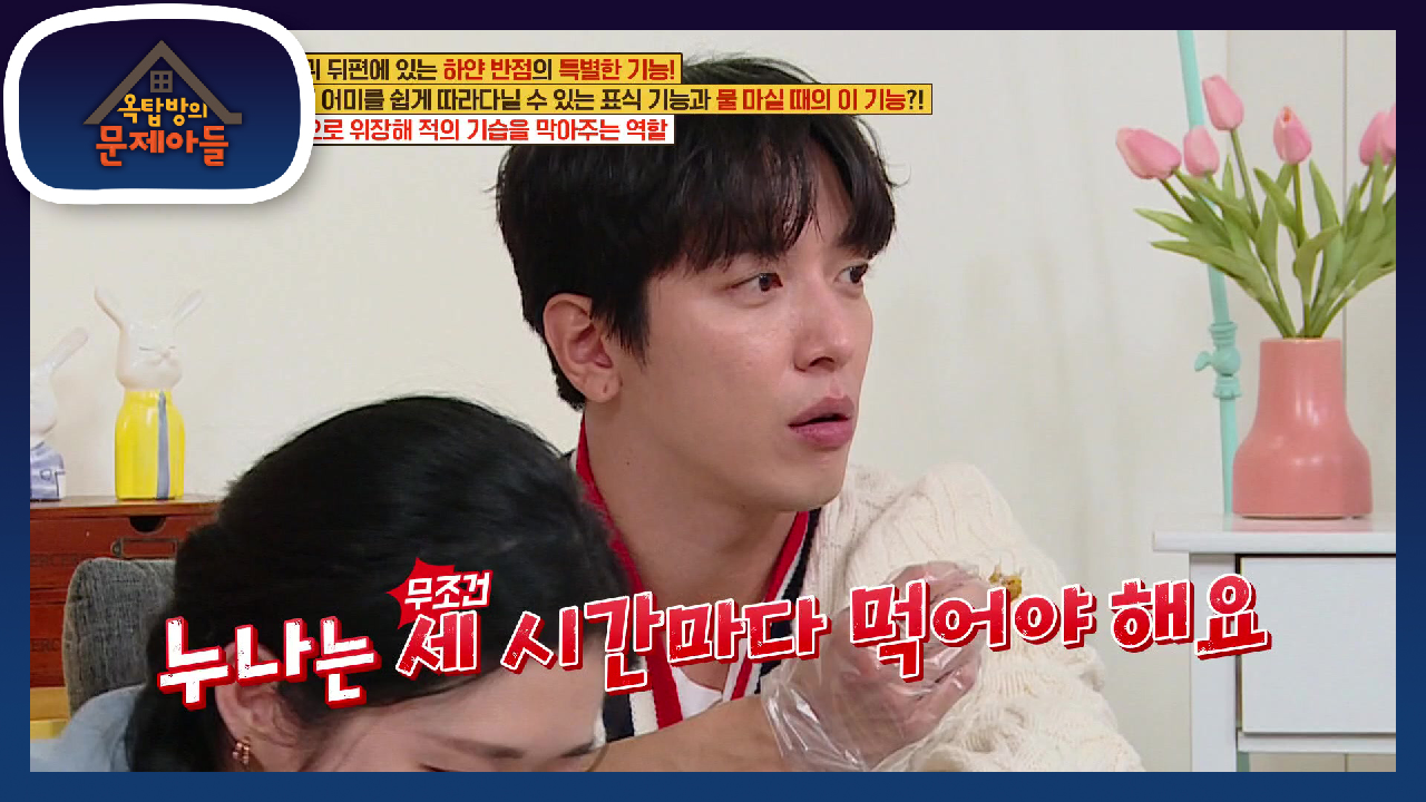 쉬는 시간 먹는 꿀맛 치킨♥ 알고보면 대식가?! 시간마다 꾸준히 먹는 나라 | KBS 210413 방송