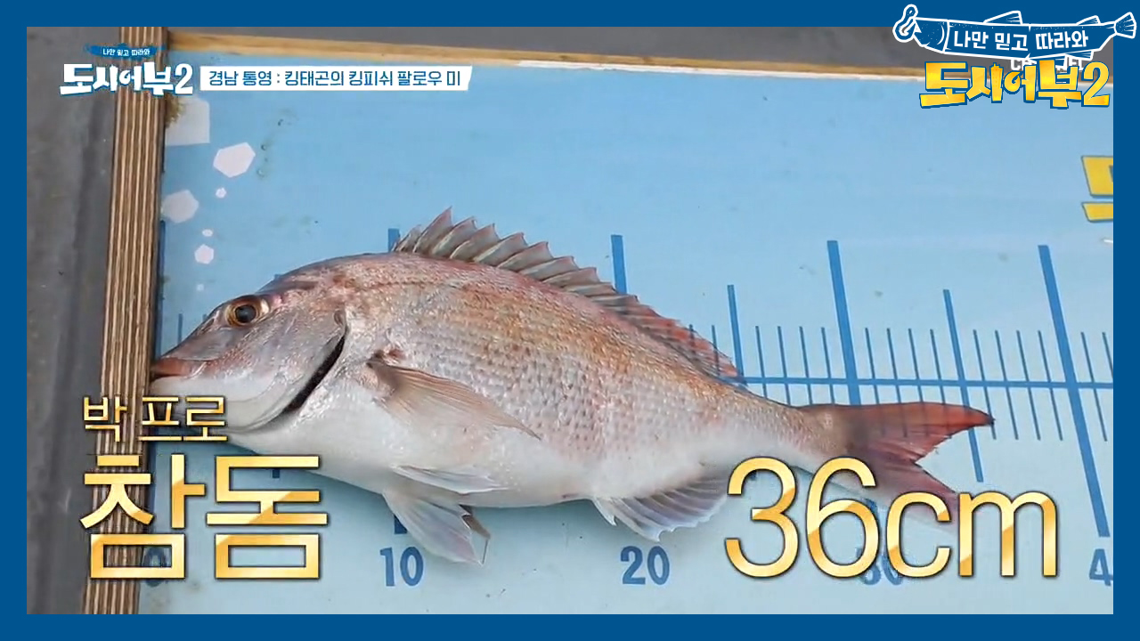 오전 마지막 댄스타임 가즈아♬♩ 화.룡.점.정 찍은 박 프로의 36cm ...