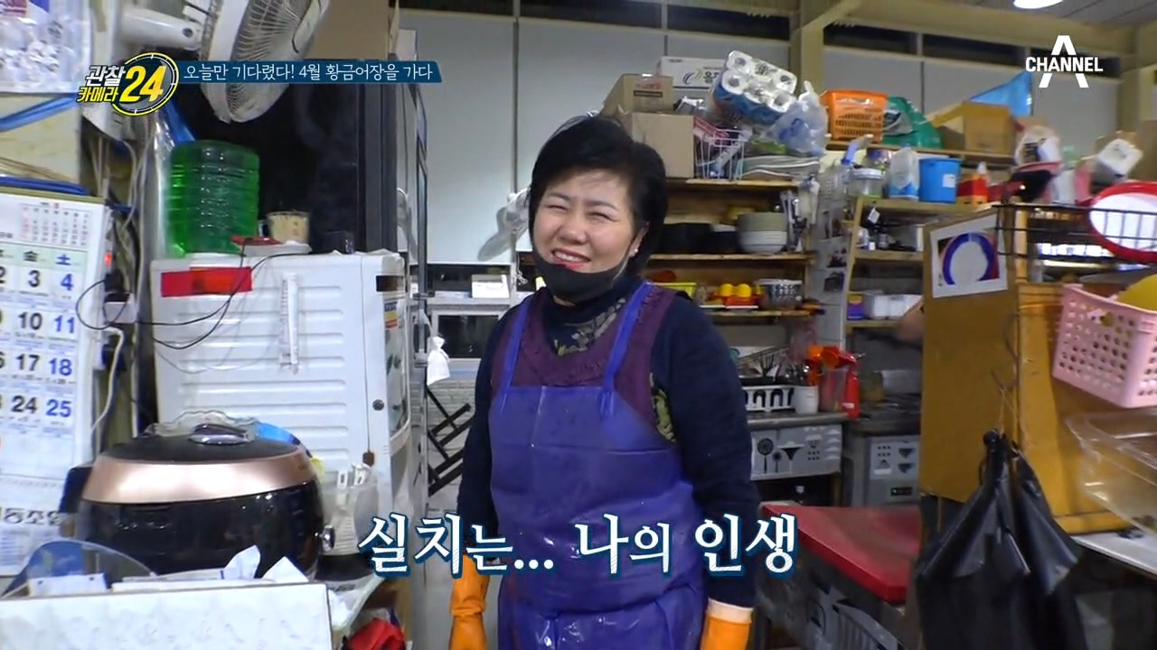 형형색색 테이프 색깔에 담긴 비밀?! 실치와 함께하는 장고항 상인들의 인생!