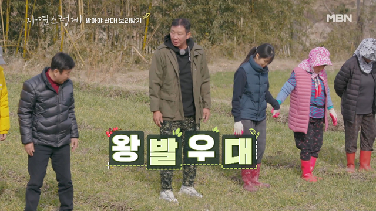 &#39;봄 기념&#39; 현천마을 보리밟기는 댄스파티?!