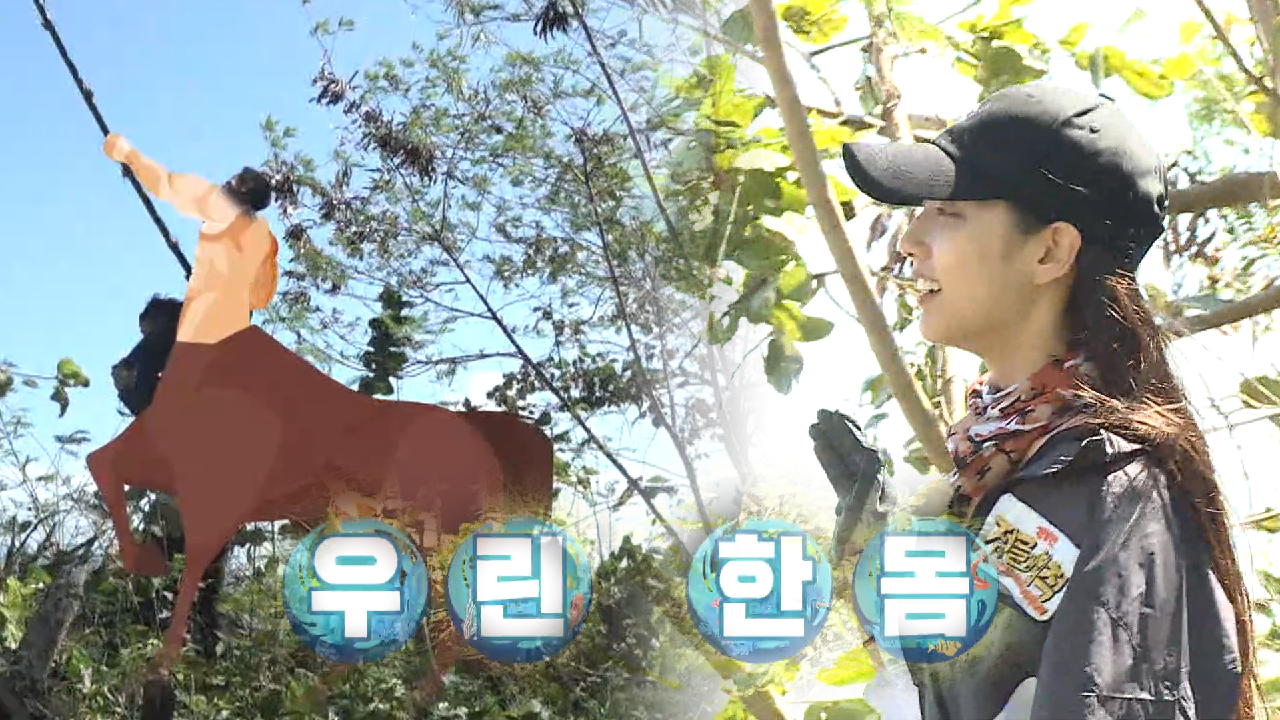 “신화에 나올 법 한데” 정예인, 영표×요한×우진의 모습에 떠올린 켄타우...