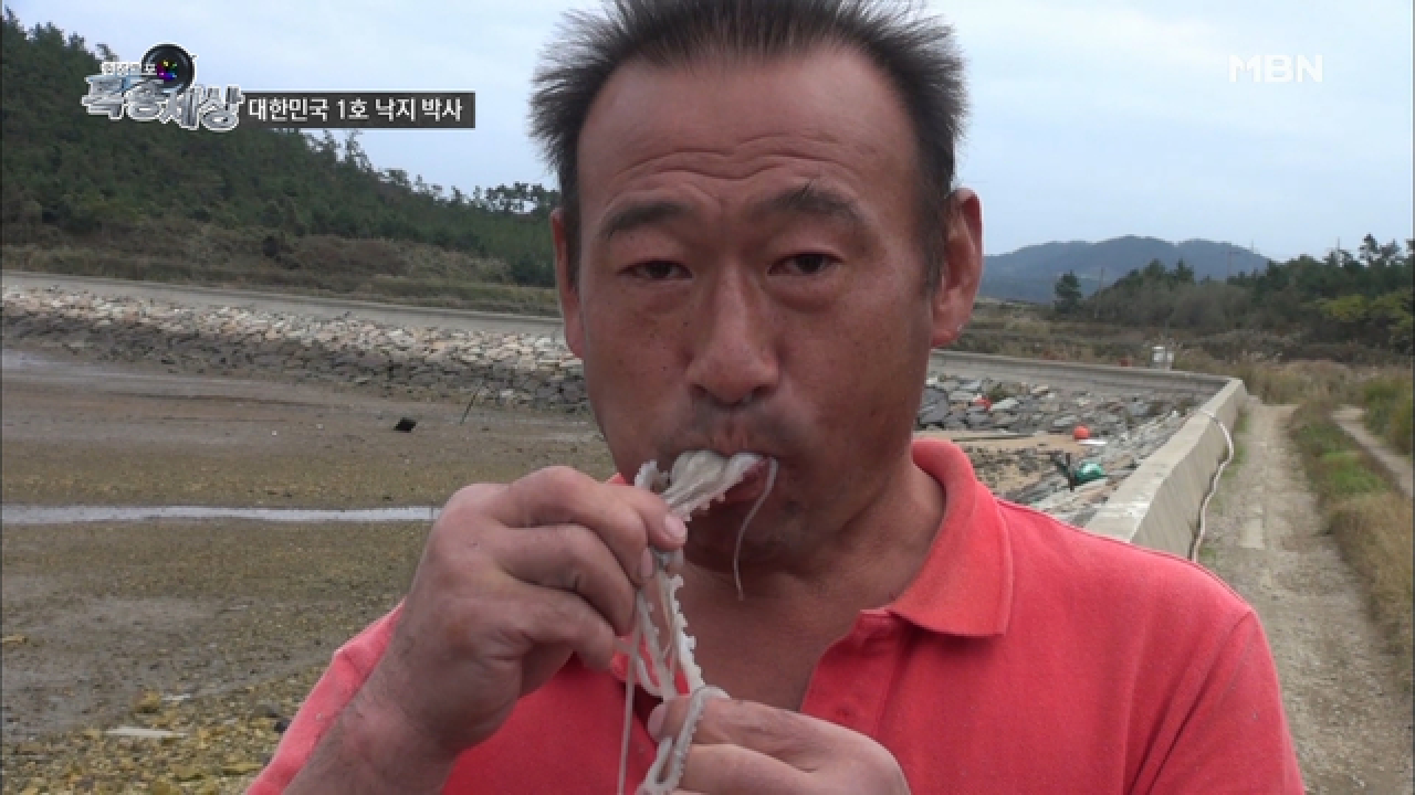 산삼에 뒤지지 않는 보양식 재료 낙지! - kakaoTV 산삼에 뒤지지 않는 보양식 재료 낙지!