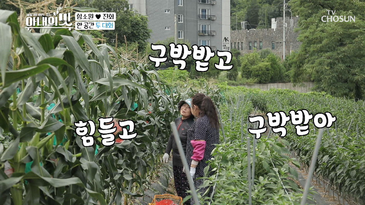 눈치껏 알아듣는(?) 한 공간 두 대화ㅋㅋ