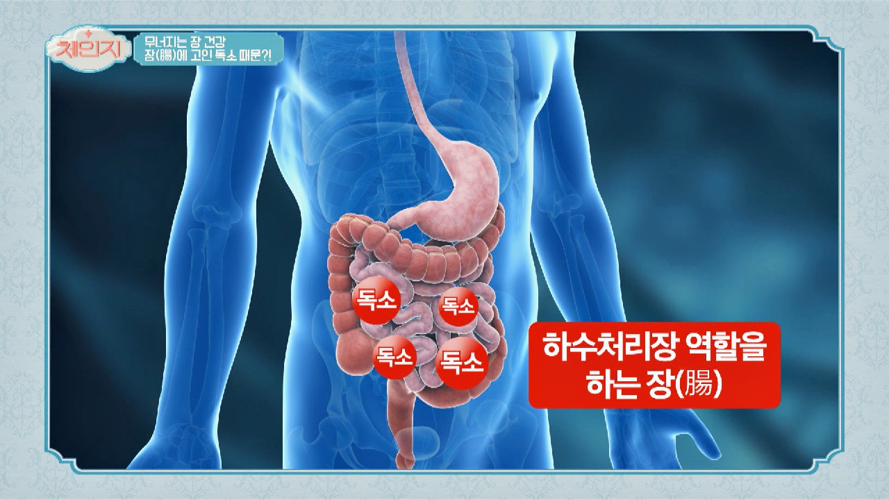 ※충격※ 독소가 고인 &#39;장&#39;에는 무슨 일이 일어날까?