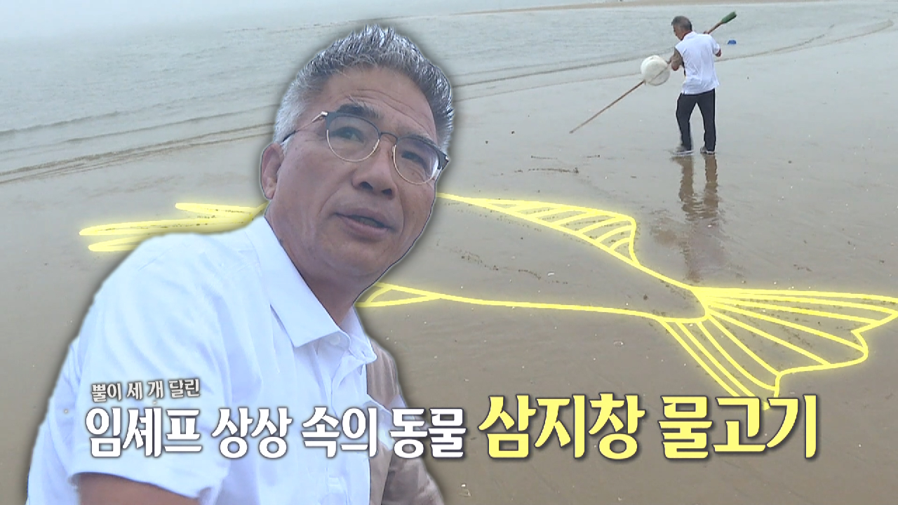 ‘정글화백’ 임지호, 갯벌에 그리는 삼지창 물고기★ (ft. 모닝 엔젤 ...