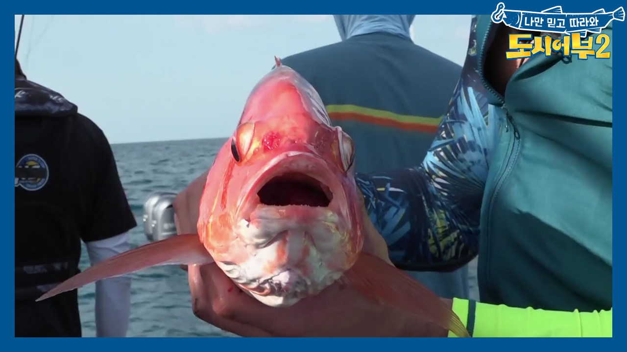 졌지만 잘 싸웠다~!! 덕화X줄강 나니가이 6짜 ♨더블 히트♨ (ft. ...