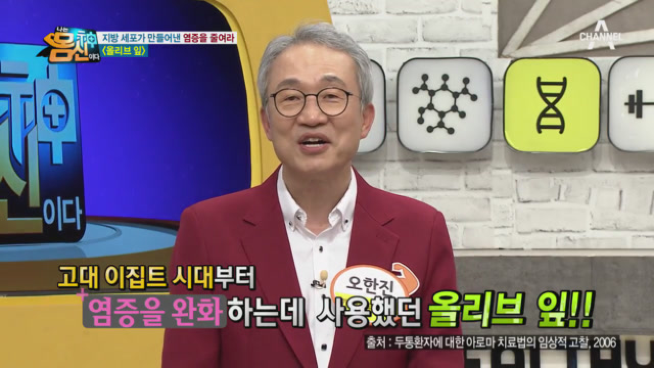 지방 세포가 만든 염증을 줄여 줄 &#39;올리브 잎&#39;, 열매를 두고 잎을 먹는 이유는?