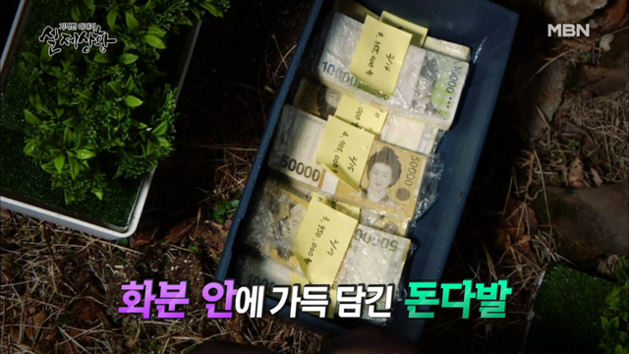 (실제상황) 특별한 화분을 구해 돈을 숨기는 여자?