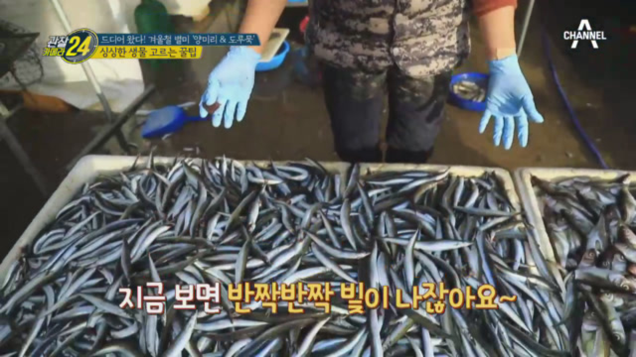 싱싱한 양미리 고르는 꿀팁 들어갑니다~