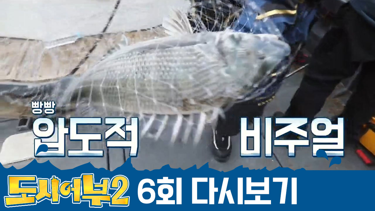 아직 한국에서 ※6짜 기록※이 없는 박 프로, 가거도에서는 세울 수 있을...