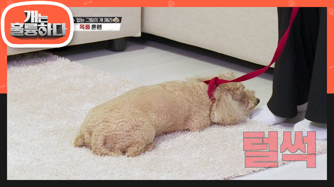 지금 메리는 악귀가 빠지고 있는 중! 얼어붙은 기분은 스스로 푸는 것! | KBS 210719 방송