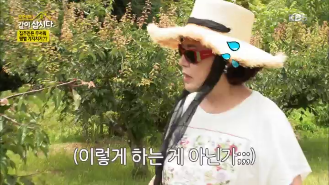 이렇게 하는거 맞겠지? 처음해보는 가지치기! 비어보는 건 기분 탓일 거야...