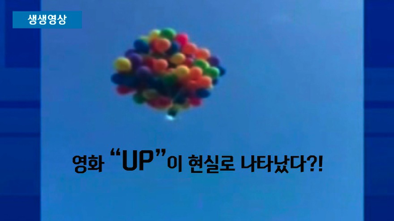  풍선 타고 하늘 난 남자의 최후