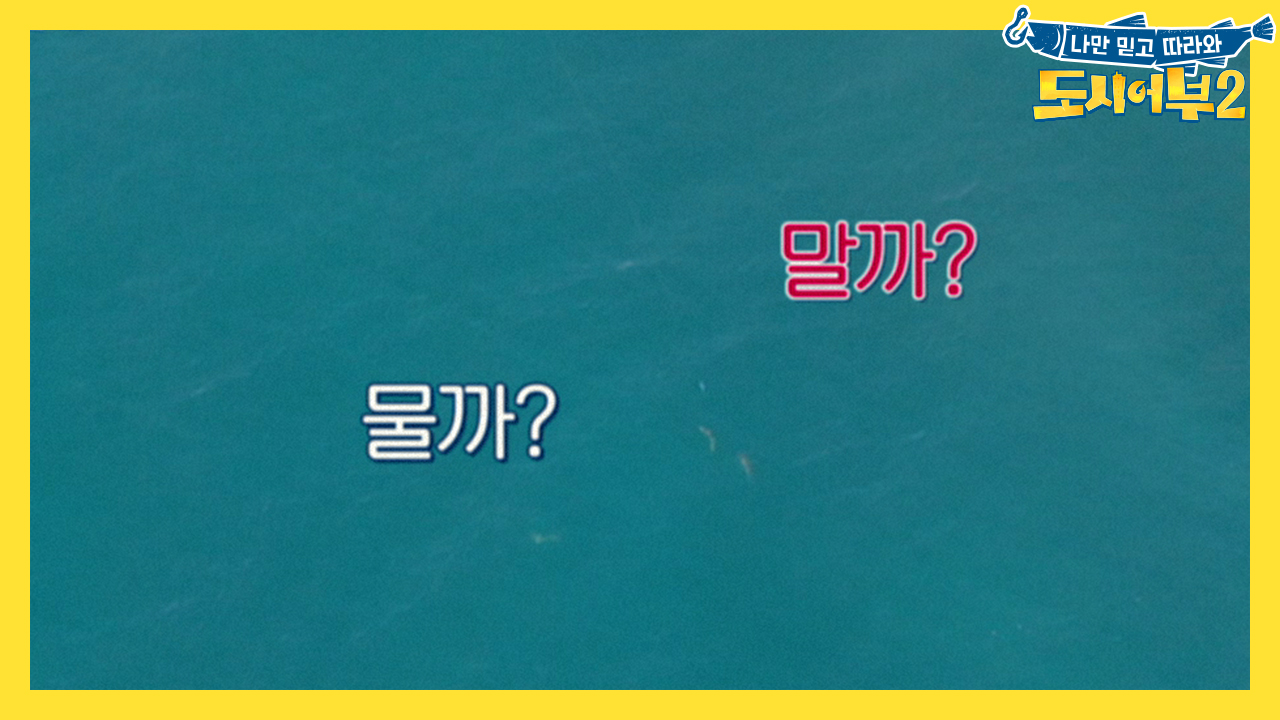 [선공개] 부시리떼의 출몰! '물까 말까' 간만 보는데