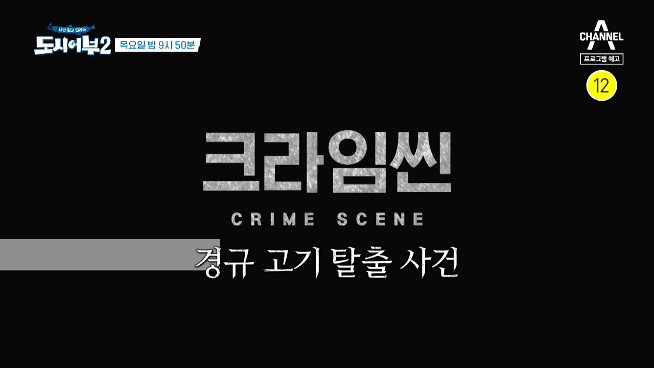 도시어부2: 대항해시대 13회