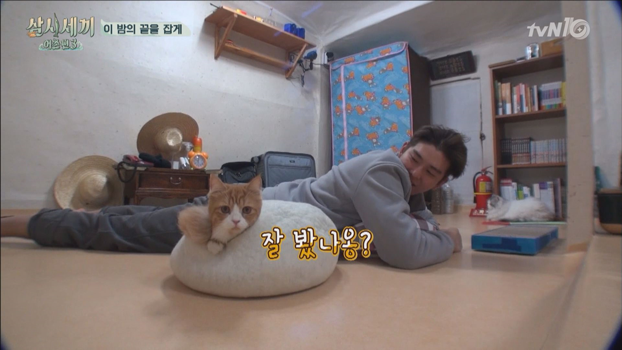 쿵몽이의 야밤 TT 플레이♬