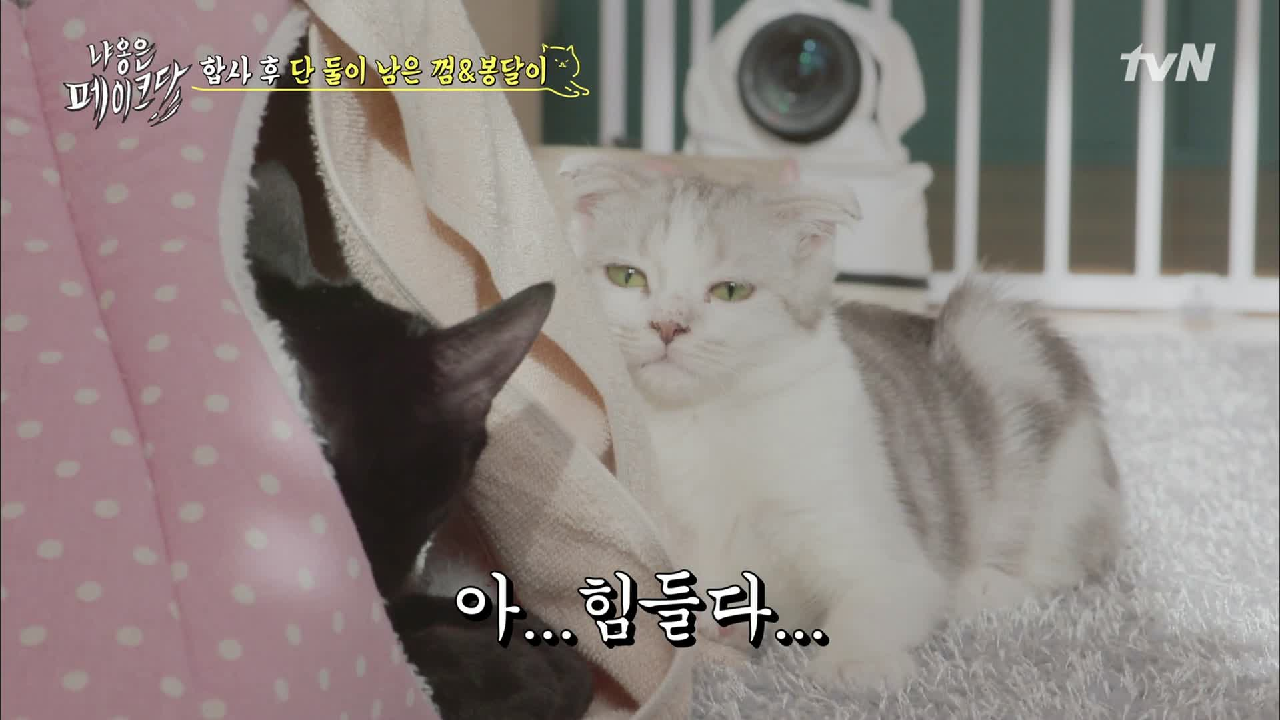 thumb.png?ts=1578237487