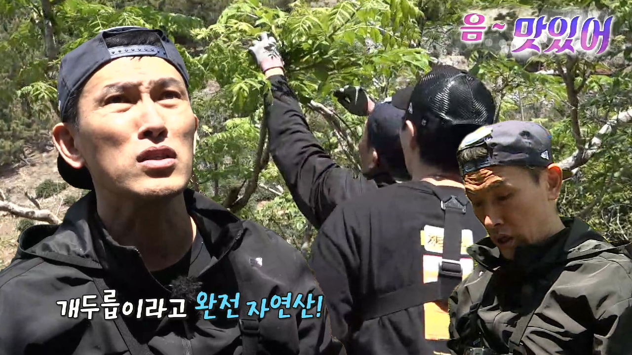 ‘두릅 박사’ 유오성, 자연산 두릅 나무 발견에 신남!