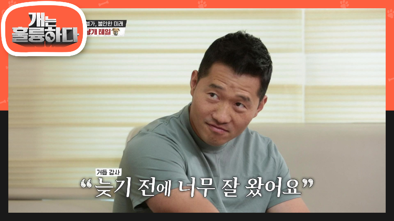 감당할수없는 워킹독의 파워에! 산책하기도 벅찬 보호자 (ft. 초보 보호자의 진심) | KBS 210712 방송