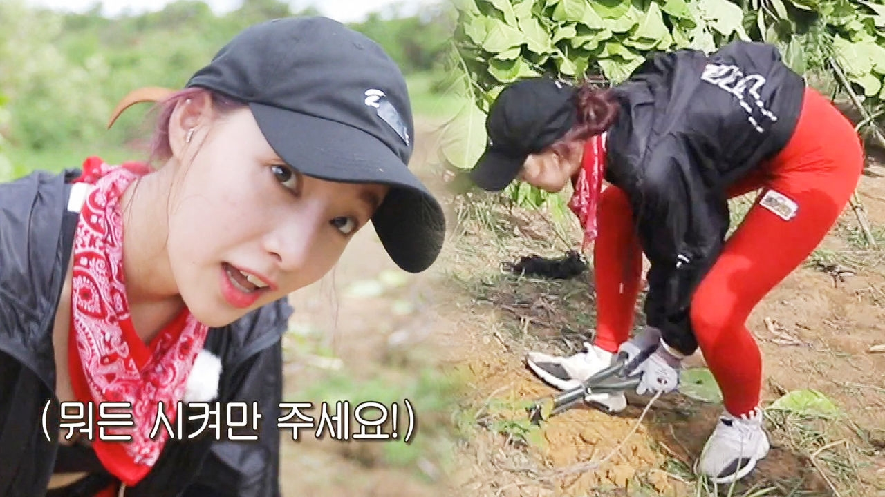 ‘목수돌 진화’ 새봄, 톱질 망치질에 이어 삽질까지!