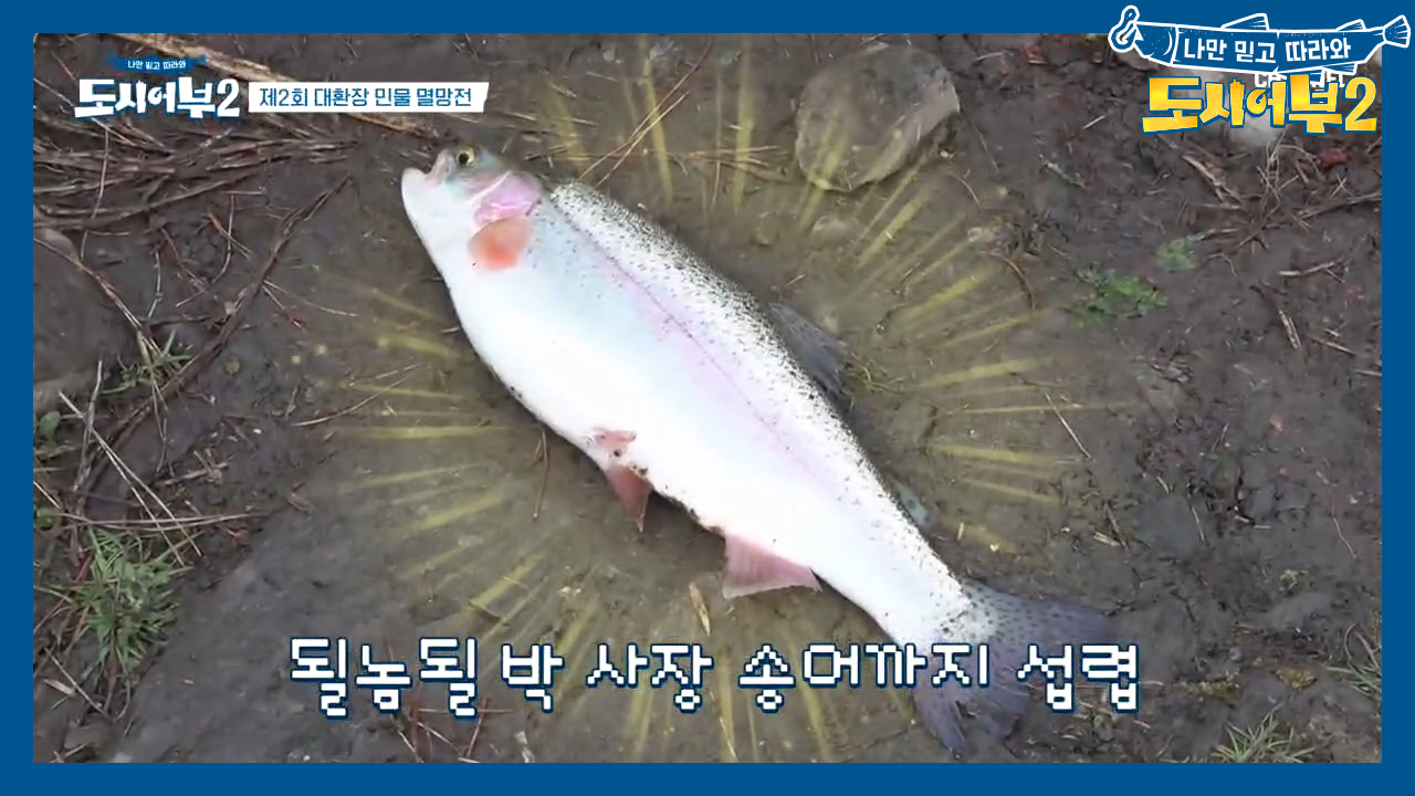 박 프로의 향어 9연타에 위기감 느낀 상렬;; 고정 위해 영혼을 팔았다?...