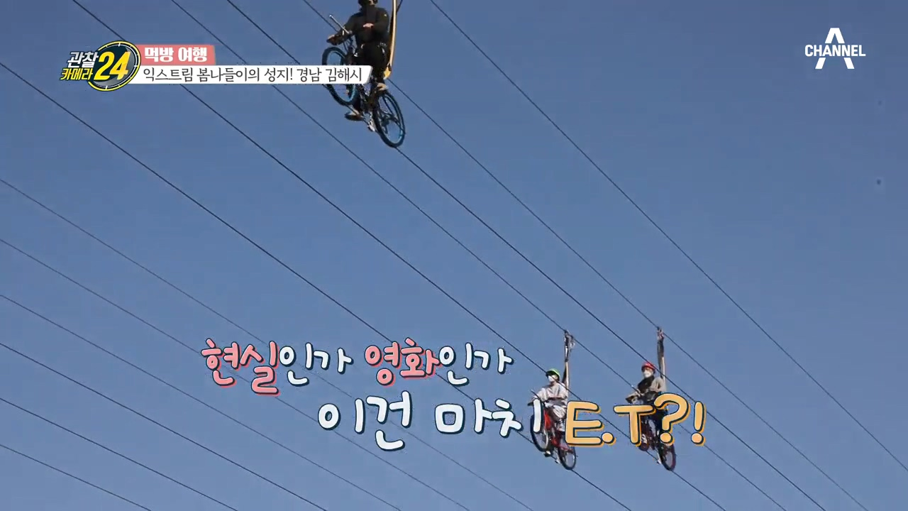 아찔한 익스트림 봄나들이, 하늘을 달리는 자전거?