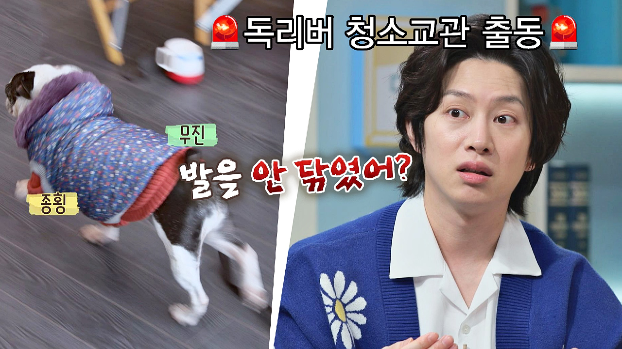 나만 불편해..? 발 안 닦은 신봉선 강아지에 청소 교관 김희철 출동? | JTBC 210222 방송