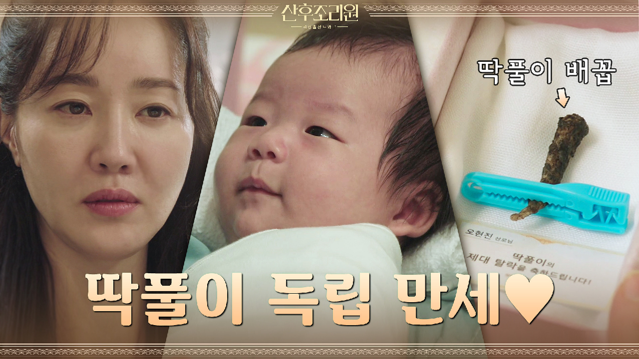 다음연예 | 딱풀이도 해낸 독립, 엄지원은 아직 하지 못했다((자괴감)) | tvN 201117 방송 - 산후조리원 6화