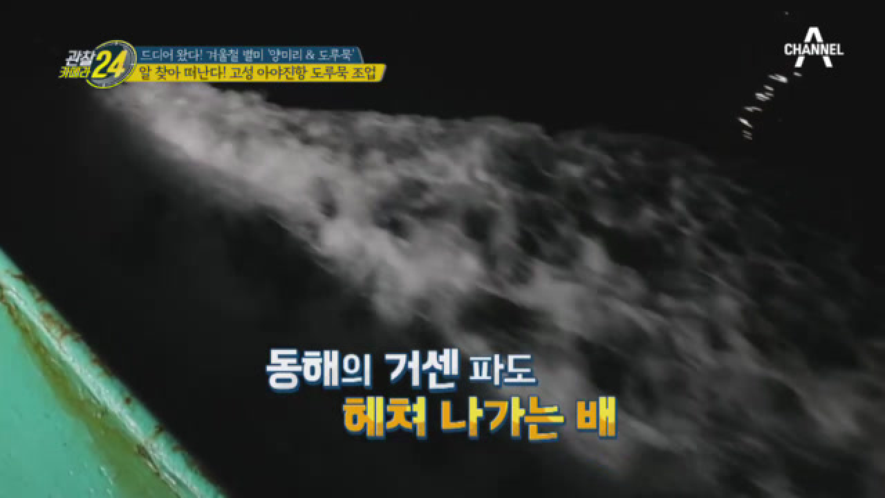 알 찾아 고고~~ 고성 아야진항 도루묵 조업