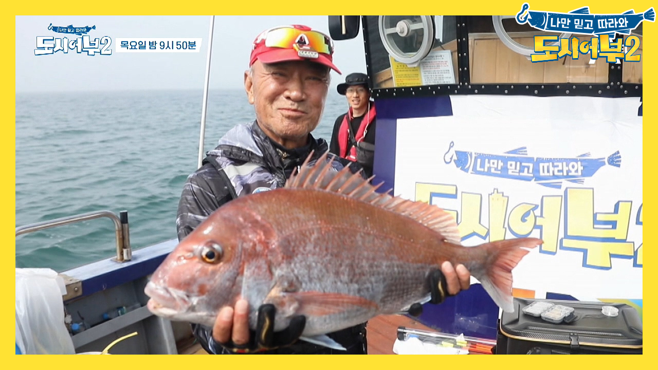 [다음이야기] 9짜 참돔이여, 내게로 오라! 참돔의 바다에서 펼쳐지는 왕...
