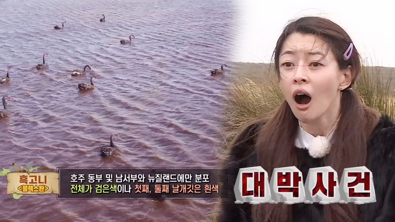 나라, 오매불망 먹을 거 생각 “오! 단백질!”