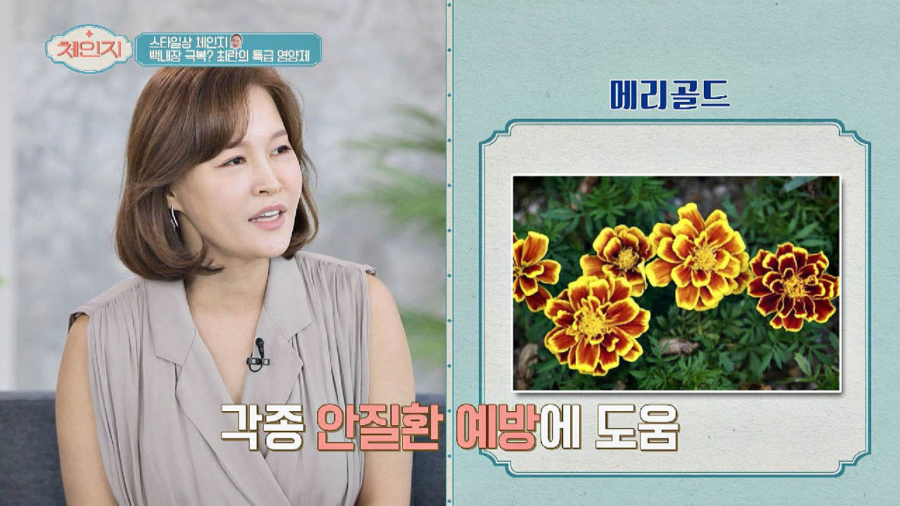 노화를 늦춰주고 안질환 예방에 도움을 주는 &#39;메리골드&#39;