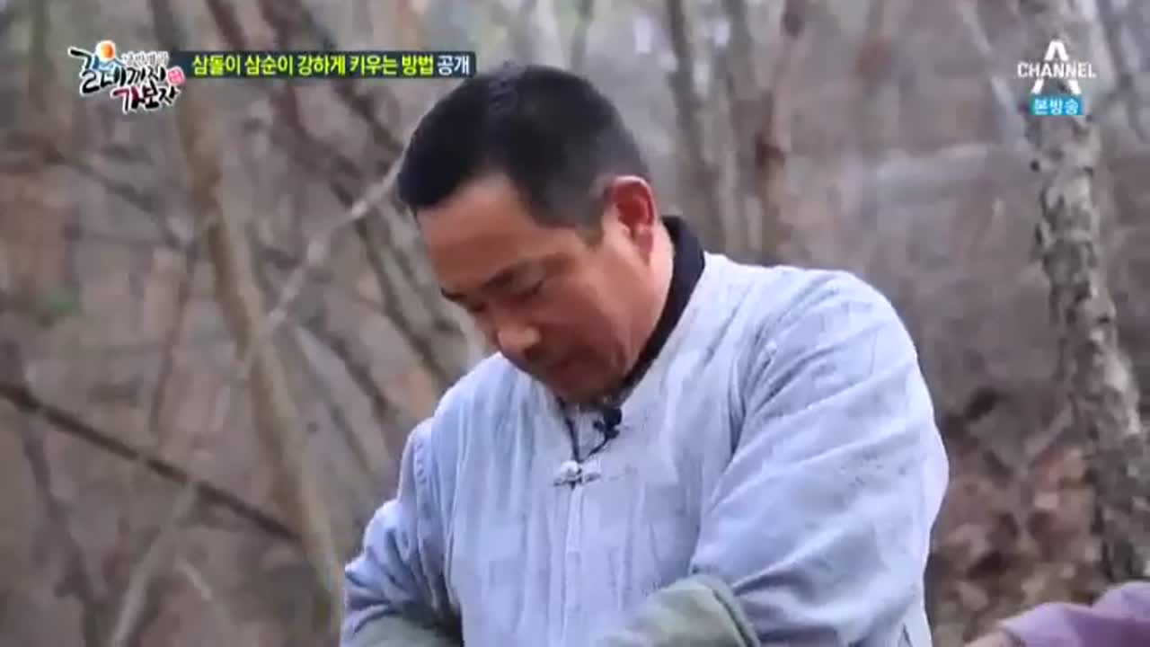 방태산 심마니가 산삼을 키우는 특별한 방법 - kakaoTV 방태산 심마니가 산삼을 키우는 특별한 방법