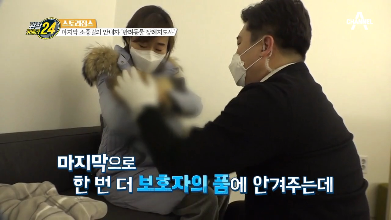 반려동물과 보내는 마지막 시간... 하늘의 별로 돌려보내는 길