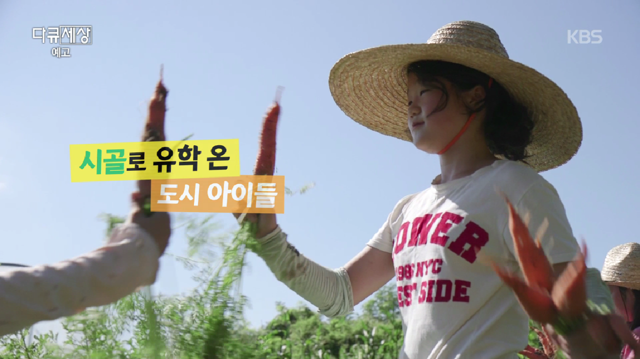 thumb.png?ts=1565380942