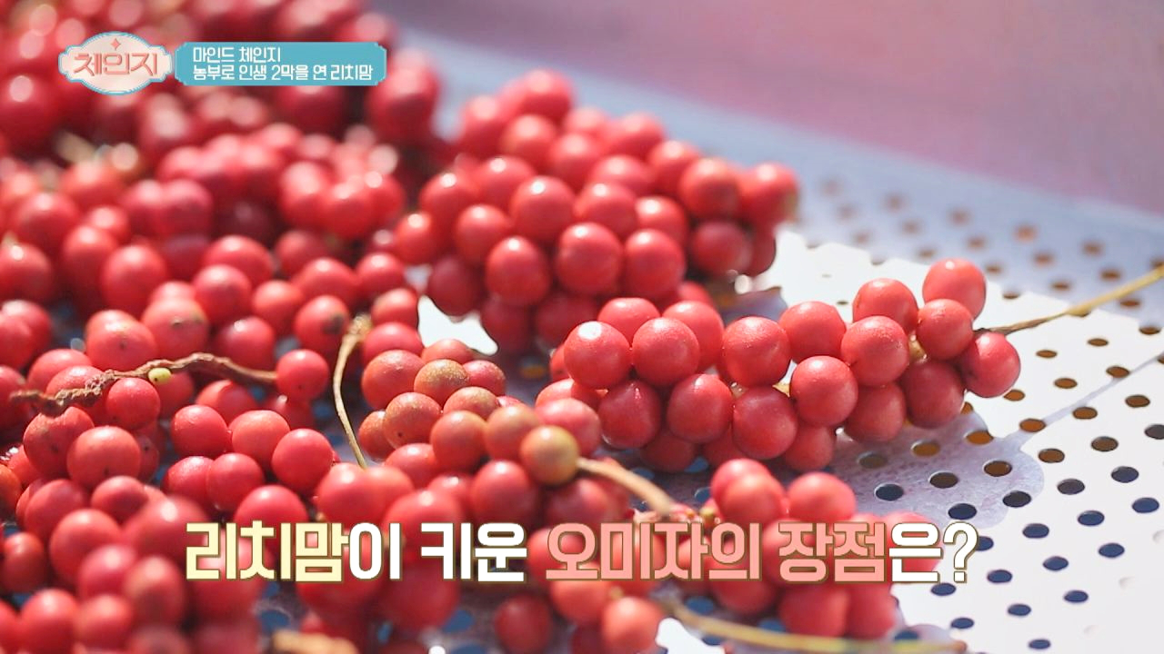 리치맘이 키운 오미자의 장점! #구매욕구_폭발♥